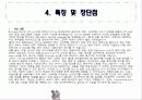 XML(VML언어에대하여) 12페이지