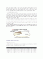 [장애인복지] 여성장애인 성폭력 실태와 문제점 및 다방면적 복지대안 4페이지