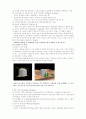 조경설계중 화단설계에 관하여 4페이지