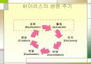 컴퓨터 바이러스 및 악성코드 8페이지
