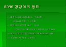 8086 CPU 내부 구조 및 명령어 요약정리 10페이지