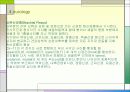 견관절과 견갑대 파워포인트 14페이지
