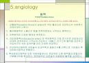 견관절과 견갑대 파워포인트 16페이지