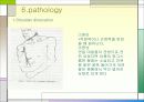 견관절과 견갑대 파워포인트 19페이지