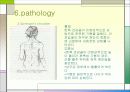 견관절과 견갑대 파워포인트 21페이지