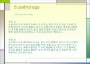 견관절과 견갑대 파워포인트 22페이지