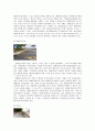 장애인을 위한 시설의 종류, 실태, 위험성, 장애인 편의시설의 문제점 및 개선방안 7페이지