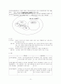이혼가족과 재혼가족에 관하여 14페이지