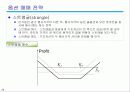 주가지수 옵션 29페이지
