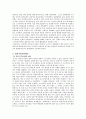 중국의 소수민족 정책 2페이지