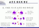 오존층 파괴의 원인과 피해상황 그리고 대책 발표자료 8페이지