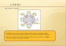 유압 (Oil pressure)   레포트 22페이지