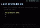 ERP 패키지 5페이지