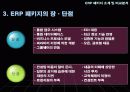 ERP 패키지 8페이지