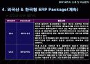 ERP 패키지 10페이지