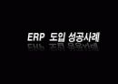 ERP 패키지 33페이지