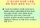 휴대폰사용과 정신건강 14페이지