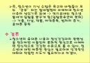 휴대폰사용과 정신건강 20페이지