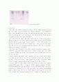 Western blot: 항체반응 및 시료검출 6페이지