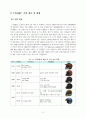 [A+평가 레포트]글로벌 무한경쟁시대에 국내생산거점 기업으로 발전을 위한 (주)HJC의 글로벌경쟁력 강화방안 4페이지