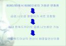 디지털 실험 배정밀 연산 ppt발표자료 3페이지