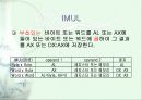 디지털 실험 배정밀 연산 ppt발표자료 11페이지