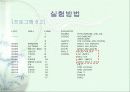 디지털 실험 배정밀 연산 ppt발표자료 19페이지
