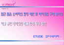 ETUDE 코디네이터(태평양 화장품 중 에뛰드) 2페이지