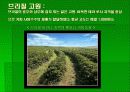 브라질의 정당정치 7페이지