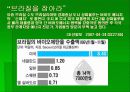 브라질의 정당정치 13페이지