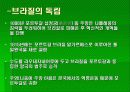 브라질의 정당정치 18페이지