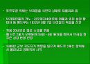 브라질의 정당정치 20페이지