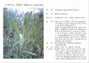 허브에 대해서 12페이지