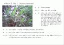 허브에 대해서 13페이지