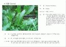 허브에 대해서 15페이지