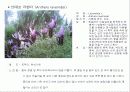 허브에 대해서 20페이지