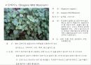 허브에 대해서 24페이지