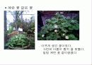 허브에 대해서 31페이지