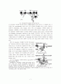 calcium signaling 7페이지