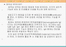 체액성 면역의 작동기전 2페이지