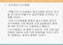체액성 면역의 작동기전 7페이지