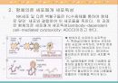 체액성 면역의 작동기전 8페이지