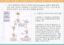체액성 면역의 작동기전 12페이지