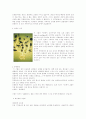 진화론이란(진화론의 붕괴) 7페이지