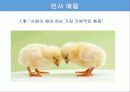 21세기 성공전략 이미지메이킹 14페이지