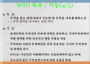 국제 경제기구 10페이지
