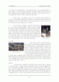 [압구정, 명동, 강남역, 신촌]소비사회문화와 소비공간 4페이지