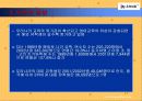 IAE 유학네트 서비스마케팅 9페이지