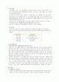 다양한 프로그램의 유형과 실제 (대학부속유치원 어린이집, 사설교육기관) 8페이지