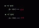 음운의 변동 12페이지